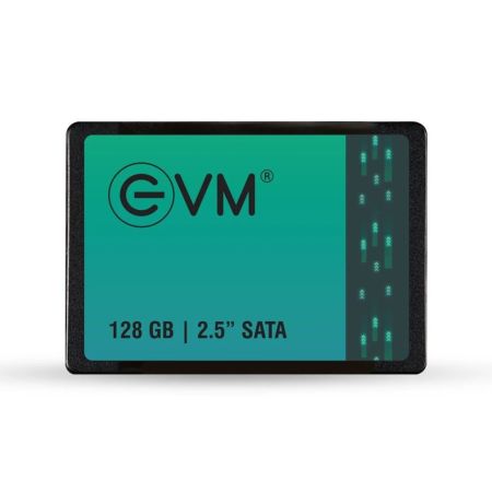 EVM 128GB SATA SSD